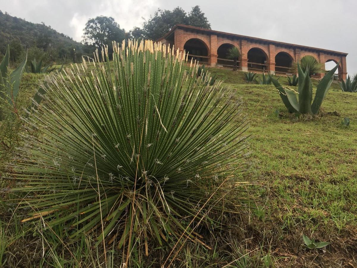 Rancho Escondido Casa Goyri 호텔 Tlaxco 외부 사진